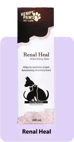 Renal Heal