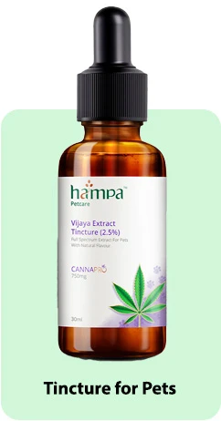 Tincture for Pets