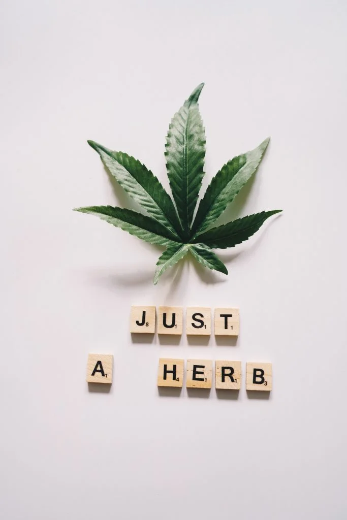 medical cannabis