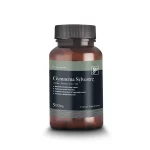 Trugreen Gymnema 500 mg, 60 Capsules on itshemp
