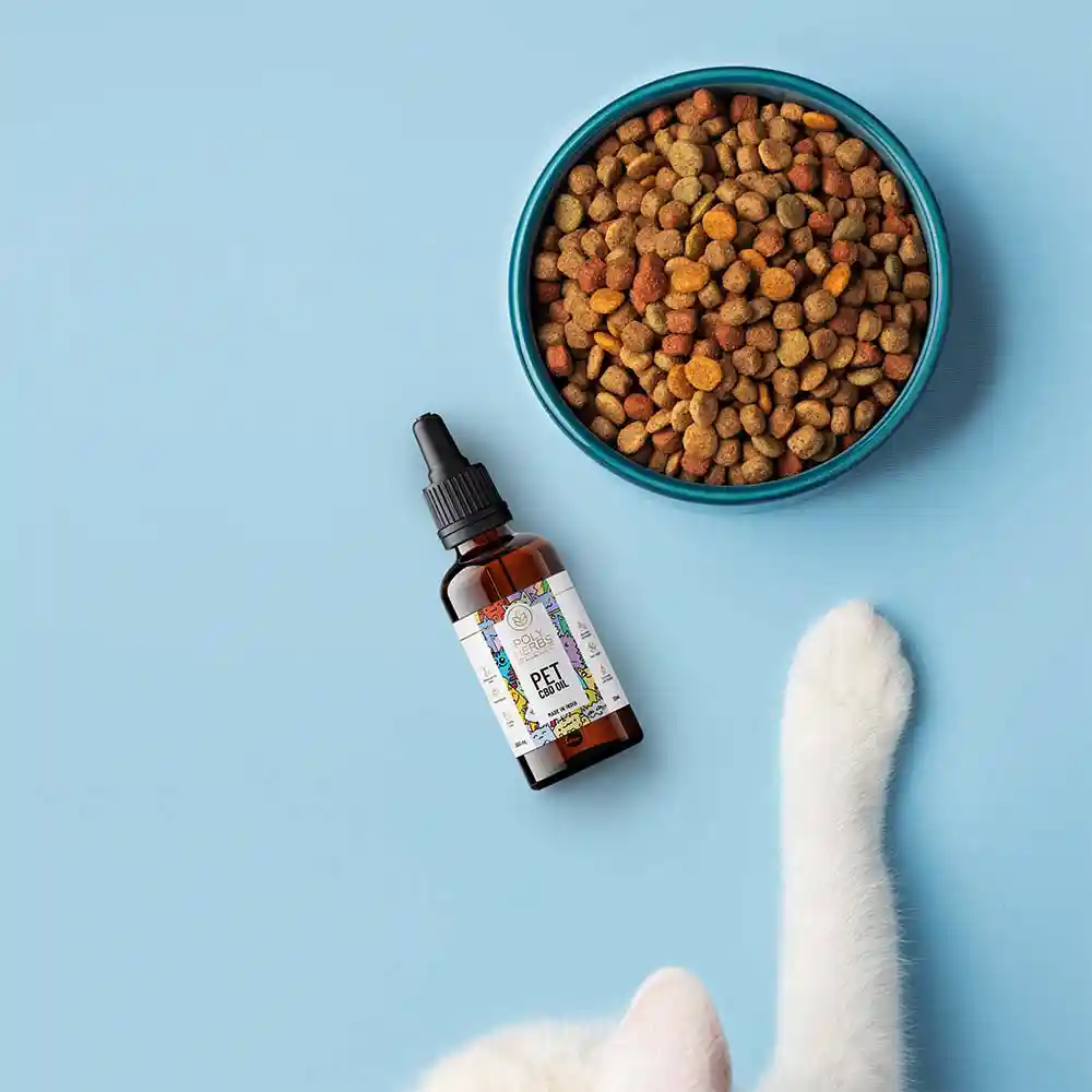 PolyHerbs CBD Oil for Pets 3000mg, 30ml on itshemp