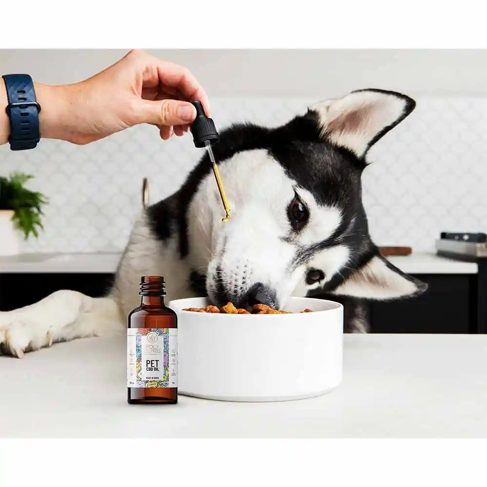 PolyHerbs CBD Oil for Pets 3000mg, 30ml on itshemp