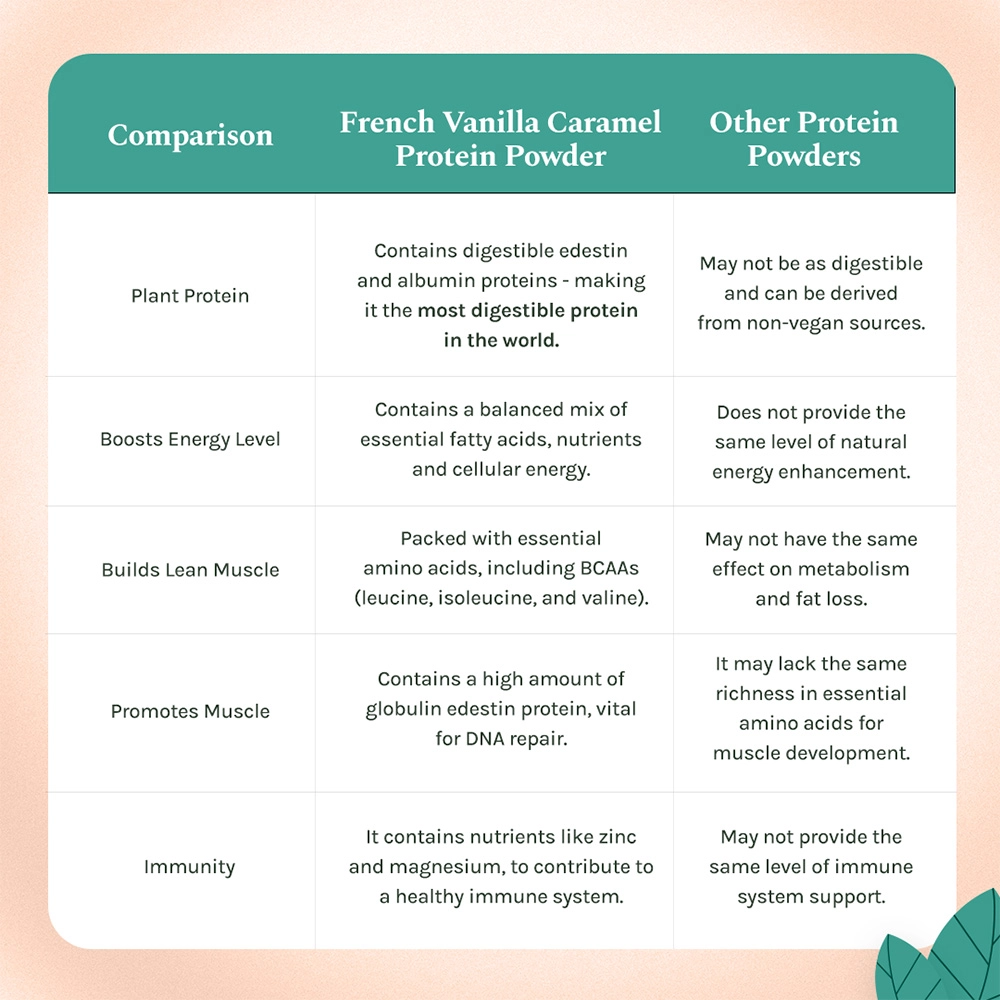 India Hemp Organics Hemp Powder - French Vanilla Caramel, 500gms - Image 5
