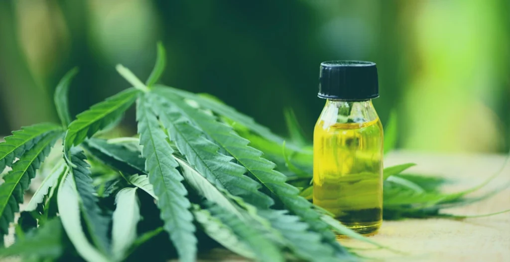 Biophore CBD approval India 2023