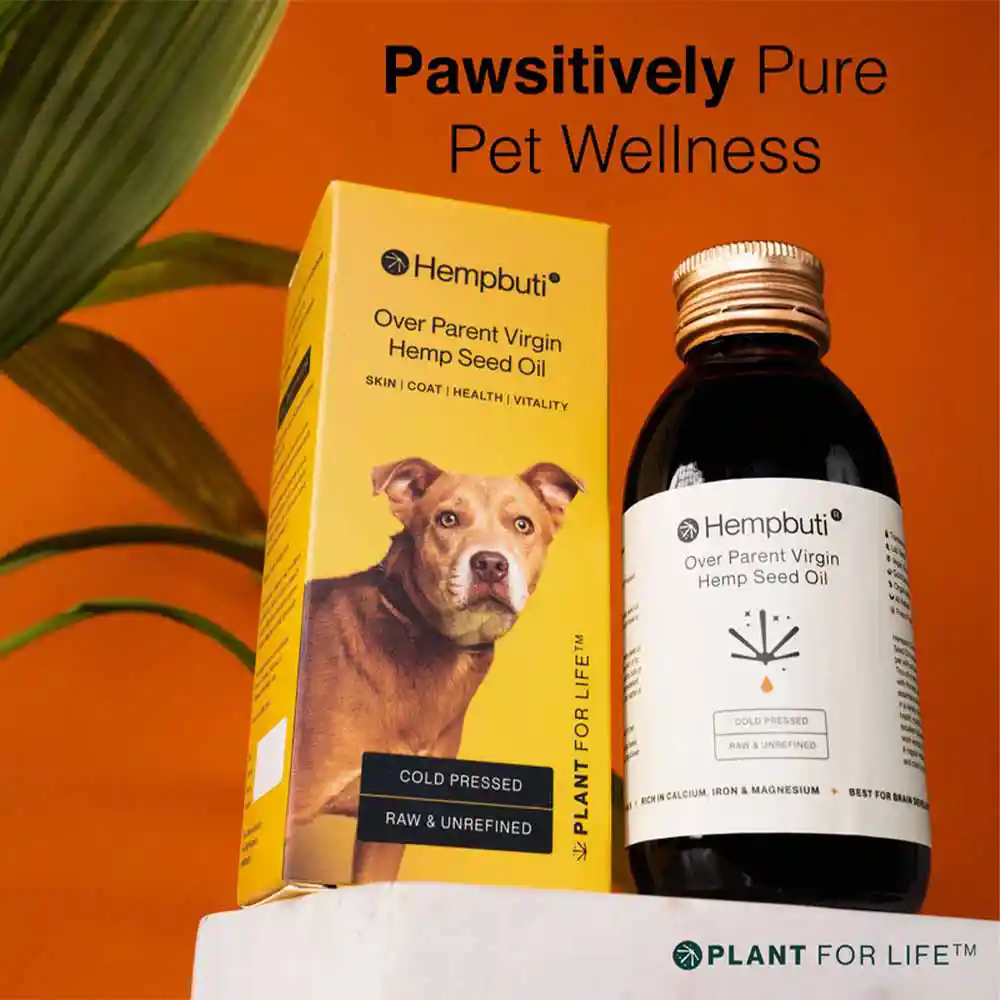 Hempbuti Over-Parent Virgin Hemp Seed Oil For Pets 125 ml on itshemmp.in