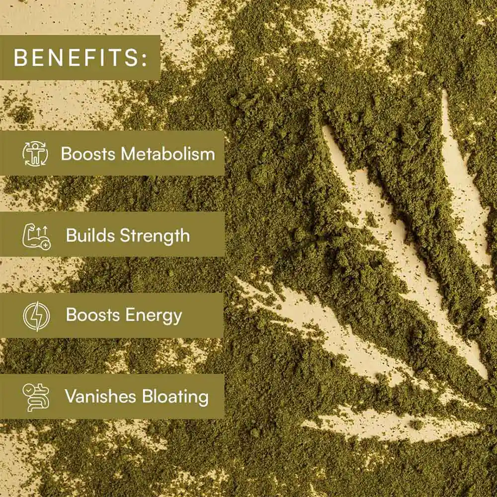 Cannaking Hemp Powder (100gm-500gm) on itshemp.in