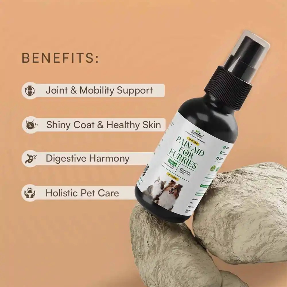 Cannaking Pain Aid For Furries (50ml) on itshemp.in
