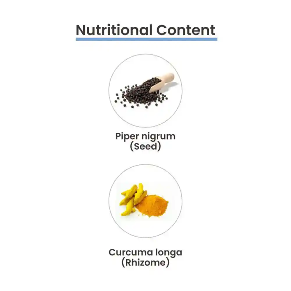 MediZen Curcumin for Inflammation Relief & Immunity Booster, 1010mg (60 Tablets) on itshemp.in