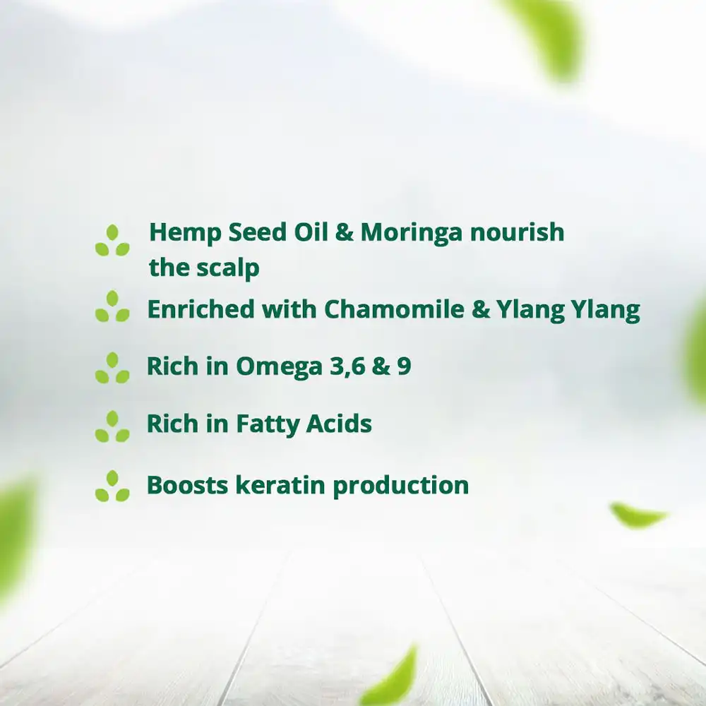Hampa Hemp Moringa Oil, 100ml on itshemp.in