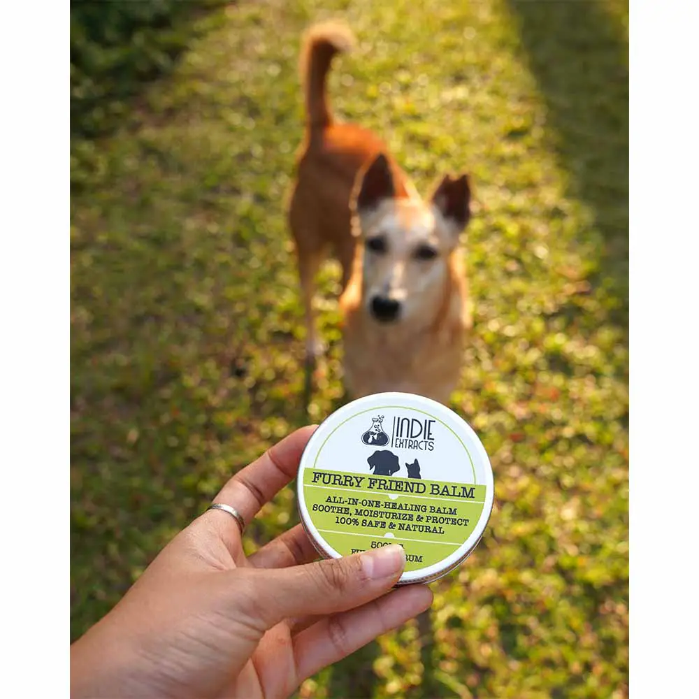 Indie Extracts Furry Friend Balm, (10 - 50 gm) on itshemp.in