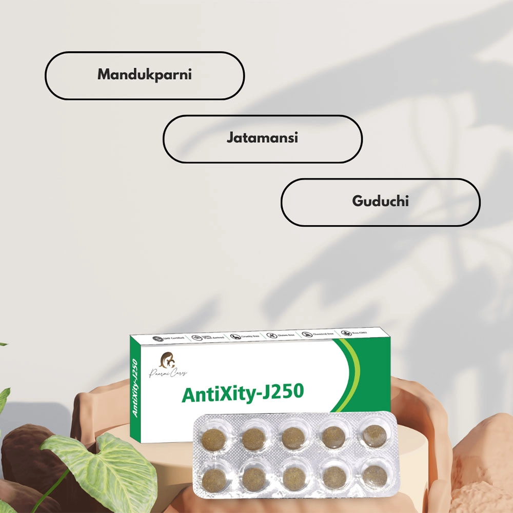 Paarmi Cares AntiXity-J250, For Anxiety (30 Tablets) on itshemp.in