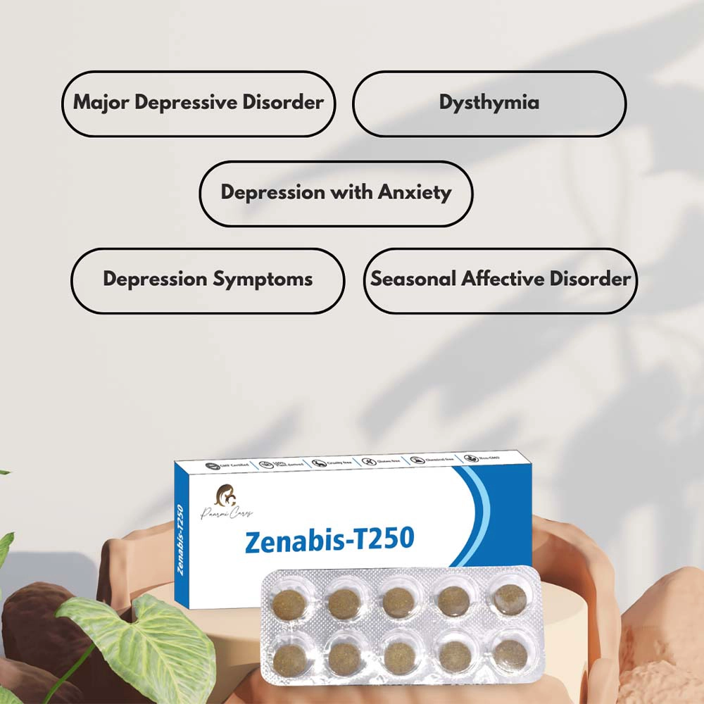 Paarmi Cares Zenabis-T250, For Depression (30 Tablets) on itshemp.in