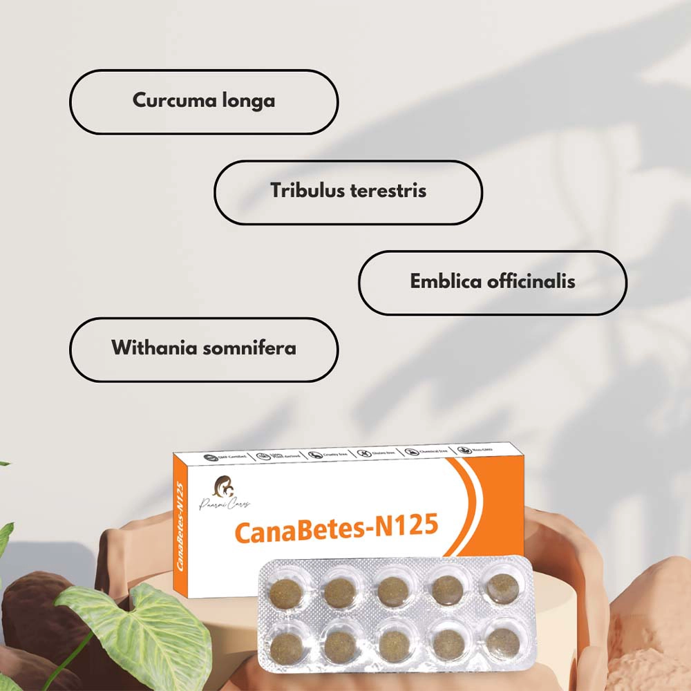 Paarmi Cares CanaBetes-N125, For Diabetes (30 Tablets) on itshemp.in