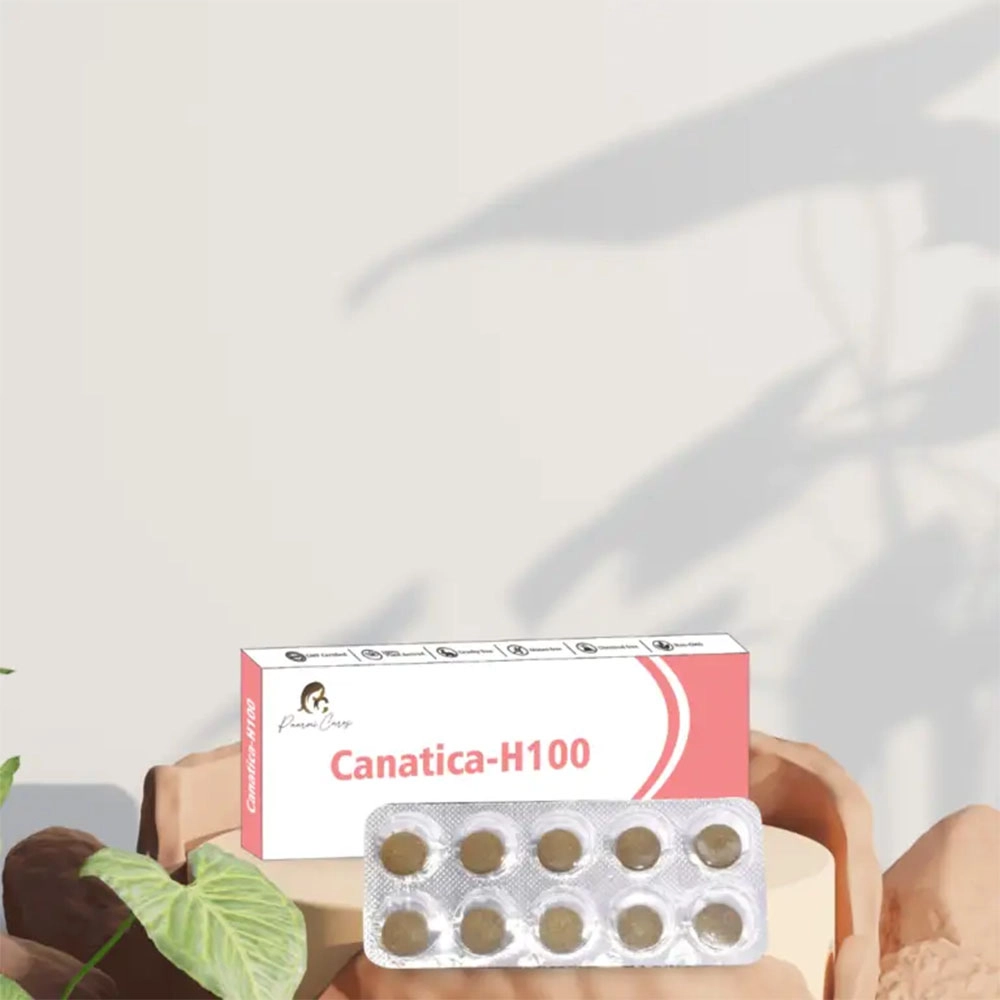 Paarmi Cares Canatica-H100, For Neuralgic Pain, Sciatica, Paralysis (100 Tablets) on itshemp.in
