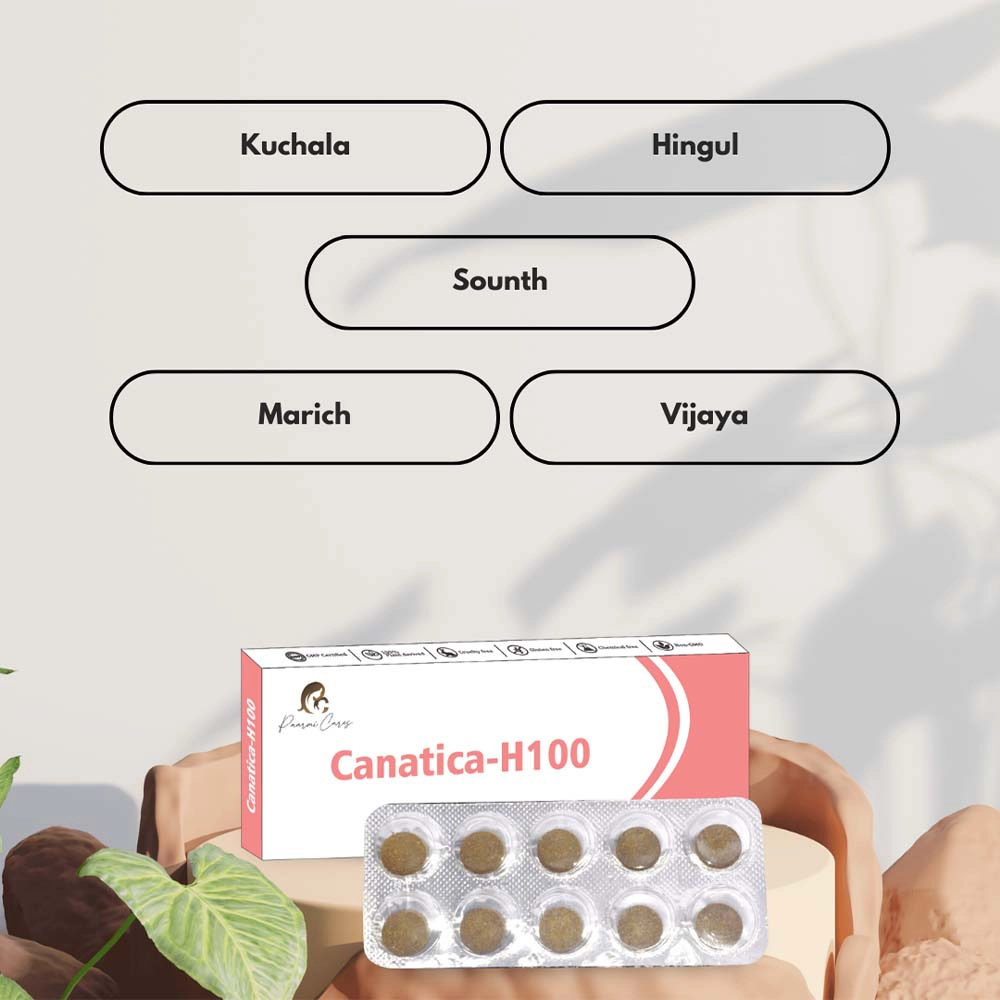 Paarmi Cares Canatica-H100, For Neuralgic Pain, Sciatica, Paralysis (100 Tablets) on itshemp.in