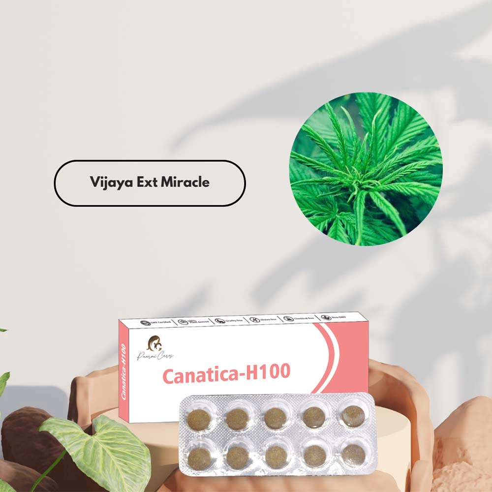 Paarmi Cares Canatica-H100, For Neuralgic Pain, Sciatica, Paralysis (100 Tablets) on itshemp.in