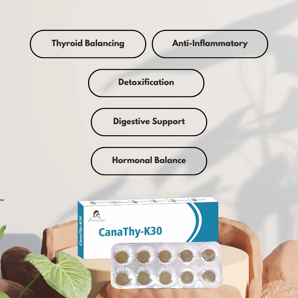 Paarmi Cares CanaThy-K30, For Thyroid (100 Tablets) on itshemp.in