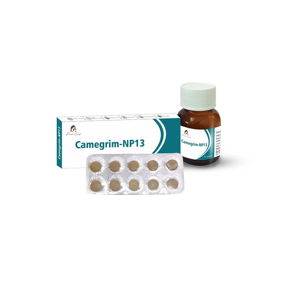Paarmi Cares Camegrim-NP13, For Migraine (10 Tablets) on itshemp.in on itshemp.in