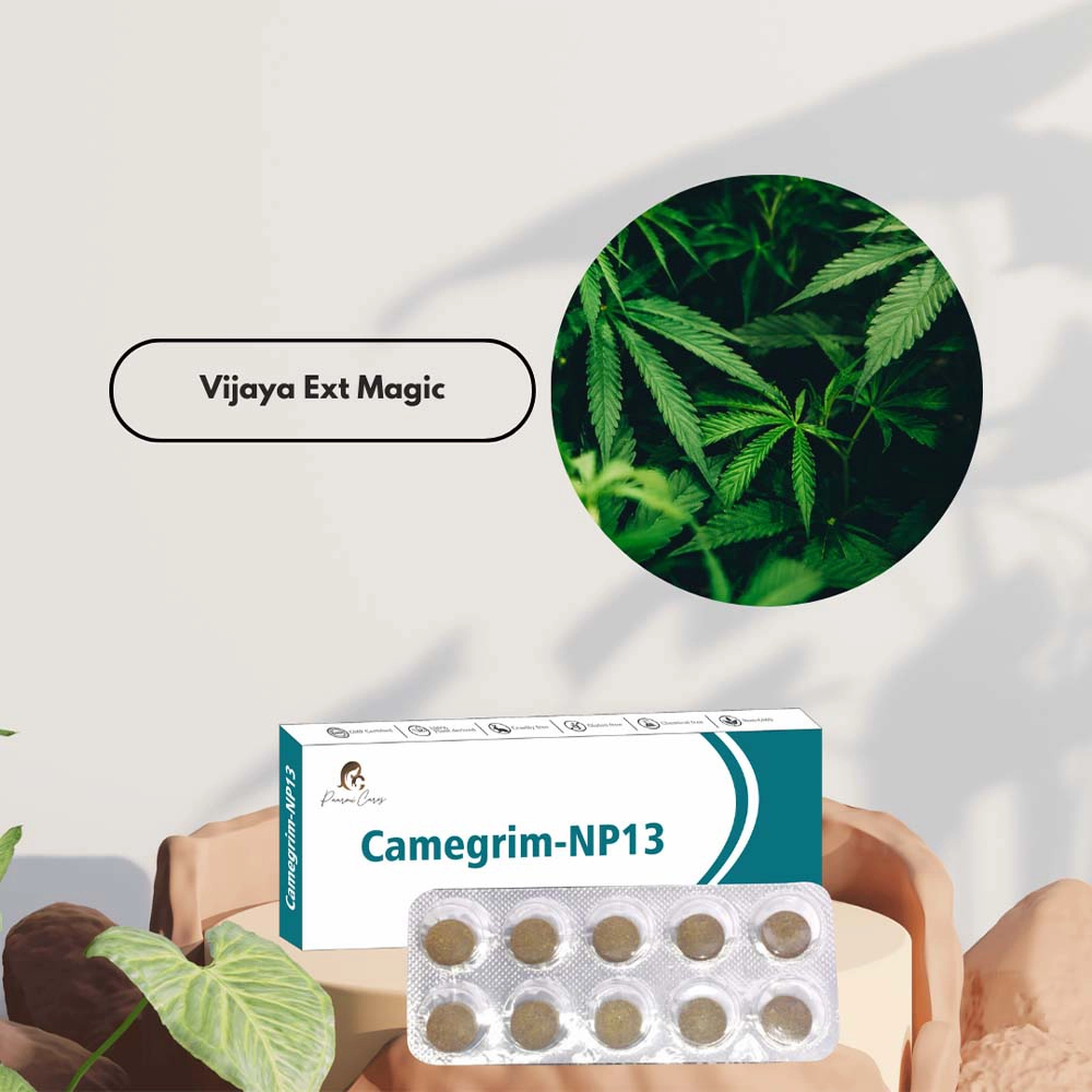Paarmi Cares Camegrim-NP13, For Migraine (10 Tablets) on itshemp.in on itshemp.in