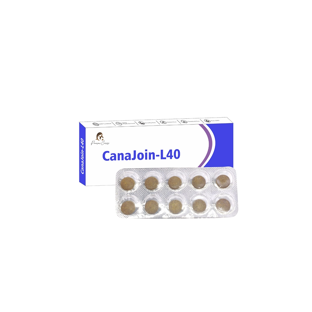 Paarmi Cares Camegrim-NP13, For Migraine (10 Tablets) on itshemp.in