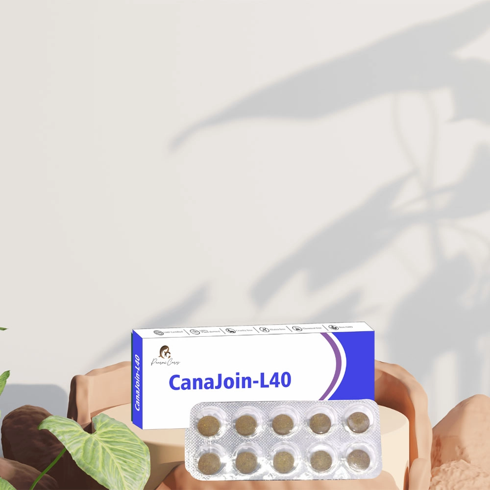 Paarmi Cares Camegrim-NP13, For Migraine (10 Tablets) on itshemp.in