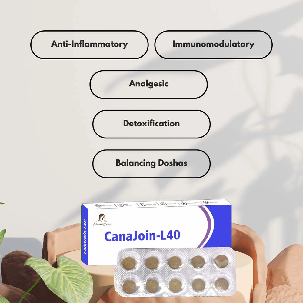 Paarmi Cares Camegrim-NP13, For Migraine (10 Tablets) on itshemp.in