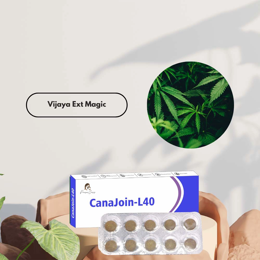 Paarmi Cares Camegrim-NP13, For Migraine (10 Tablets) on itshemp.in