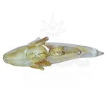 TBBC Golden Fish Glass Hand Pipe - 5 inches on itshemp.in