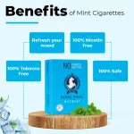 Royal Swag Herbal Cigarettes 100% Tobacco Free and Nicotine Free Mint Flavour (20 Sticks/Box) on itshemp.in
