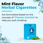 Royal Swag Herbal Cigarettes 100% Tobacco Free and Nicotine Free Mint Flavour (20 Sticks/Box) on itshemp.in