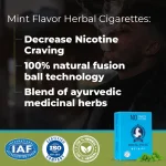 Herbal Cigarettes 100% Tobacco Free and Nicotine Free Mint Flavour(10 Sticks/Box) on itshemp.in
