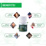 Cannarma Ayurvedic Trailokya Vijaya Vati For Knee Pain & Joint Pain Relief - 30 Tablet on itshemp.in