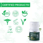 Cannarma Ayurvedic Trailokya Vijaya Vati For Knee Pain & Joint Pain Relief - 30 Tablet on itshemp.in