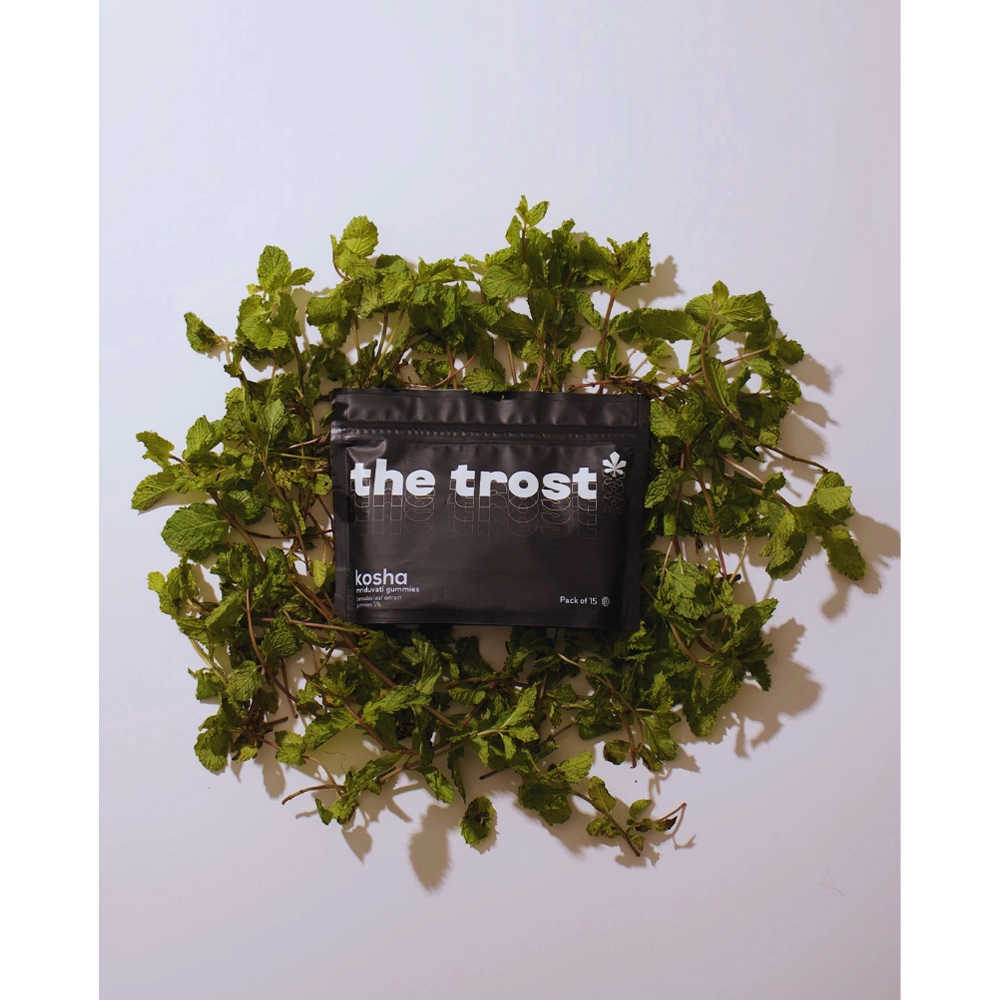 The Trost Kosha (Mint Flavor) - Cannabis Gummies (Mriduvati) - 5% Cannabis Extract, Pack of 15 - Image 4