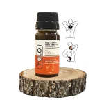 "Ananta Yolo Fast Action Pain Relief Oil 30 ml (Pack of 1) "on itshemp.in
