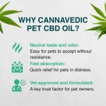 Cannavedic Pet CBD Oil, 500mg, 10ml on ithemp.in