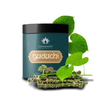 200+ Top CBD Oil India starting at INR 150, Licensed Medical Cannabis and Vijaya Products | Buy Effective CBD Oil, CBD Gummies, CBD Balms in India on ItsHemp C CV034032 1