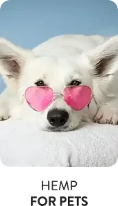 Hemp PRODUCTS FOR PETS on ItsHemp