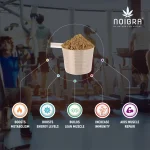 Noigra Hemp Protein Powder Combo pack, Natural + Vanilla + Chocolate, (540 grams X3) on itshemp.in