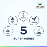 Noigra Hemp Protein Powder Combo pack, Natural + Vanilla + Chocolate, (540 grams X3) on itshemp.in