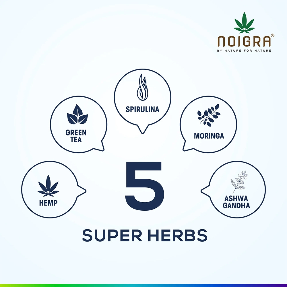 Noigra Hemp Protein Powder Combo pack, Natural + Vanilla + Chocolate, (540 grams X3) on itshemp.in