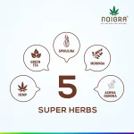 Noigra Hemp Protein Powder Combo pack, Natural + Vanilla + Chocolate, (540 grams X3) on itshemp.in