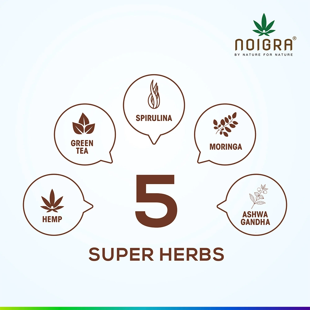 Noigra Hemp Protein Powder Combo pack, Natural + Vanilla + Chocolate, (540 grams X3) on itshemp.in