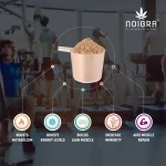 Noigra Hemp Protein Powder Combo pack, Natural + Vanilla + Chocolate, (540 grams X3) on itshemp.in