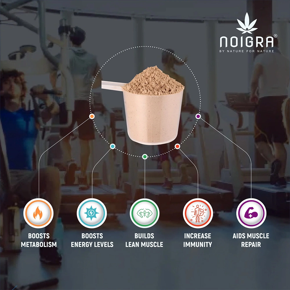 Noigra Hemp Protein Powder Combo pack, Natural + Vanilla + Chocolate, (540 grams X3) on itshemp.in
