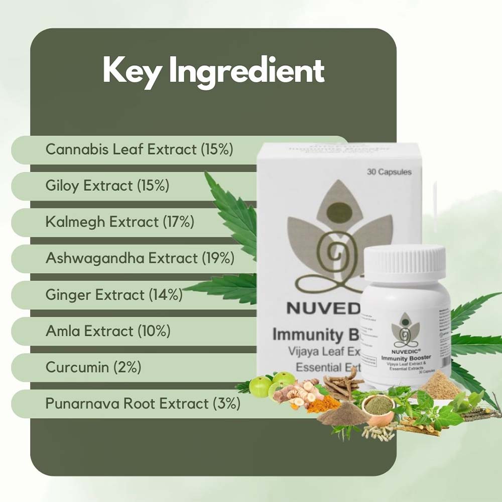 Nuvedic Immunity Booster Vijaya Leaf Extract & Essential Extracts, 30 Capsules - Image 2