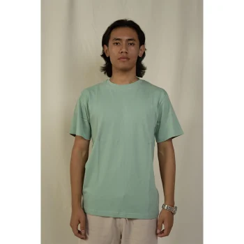 Hemis Round Neck T-Shirt, Sage Green on itshemp.in