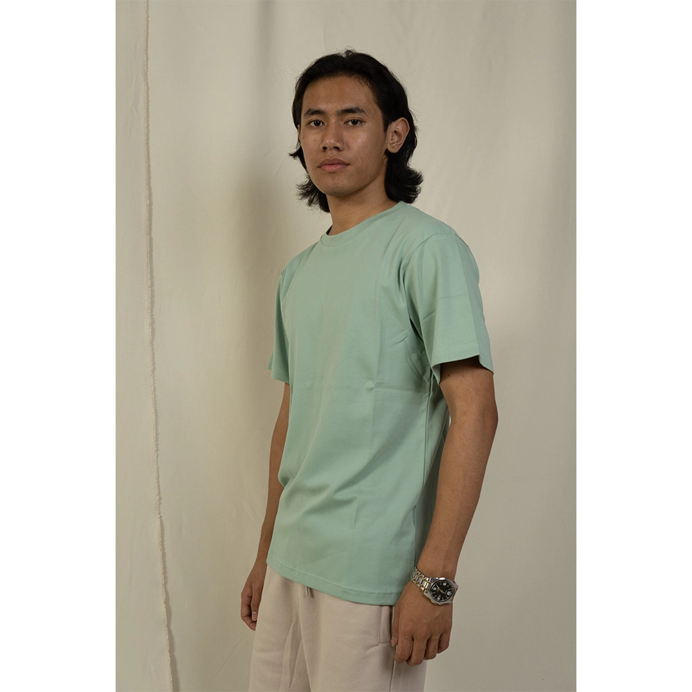 Hemis Round Neck T-Shirt, Sage Green on itshemp.in