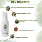 Nuvedic Pain Master Vijaya Leaf Extract With Essential Oils 50ml on itshemp.in