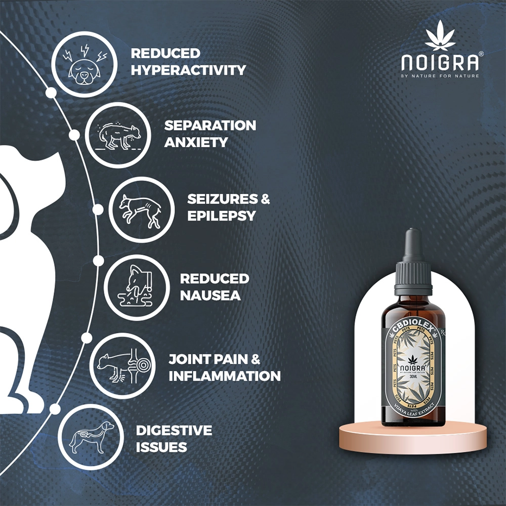 Noigra CBDILOEX for Pets, 30ml on itshemp.in